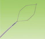 Endoscopie Disposable zeshoekig type Snare