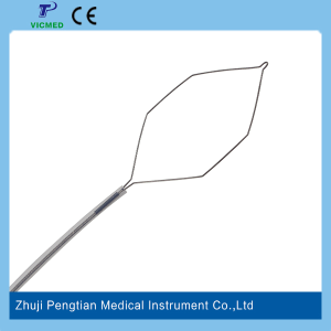 Endoscopische Wegwerp Polypectomie Snare