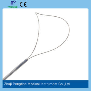 Gastro-intestinale wegwerp Lune Snare