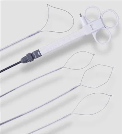Endoscopie Wegwerp Lune Type Snare