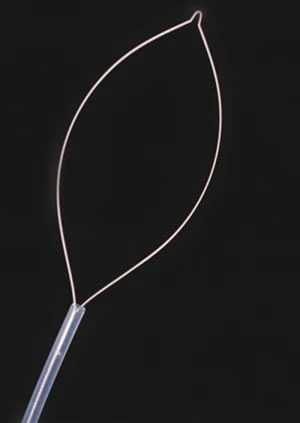 Ce Gemarkeerde Wegwerp Endoscopische Poliep Snare